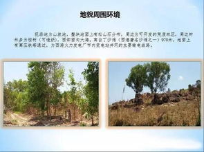 柬埔寨西哈努克港80公頃旅游地產開發(fā)項目推薦