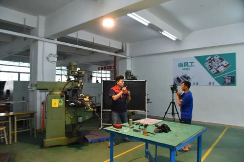 創(chuàng)新培訓服務(wù)企業(yè) 寶山技工全面啟動企業(yè)適崗培訓工作，聚焦信息技術(shù)咨詢服務(wù)