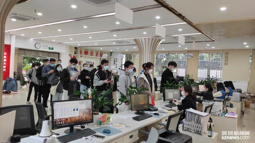 深圳要聞信息咨詢服務 洞察灣區動態，賦能決策未來